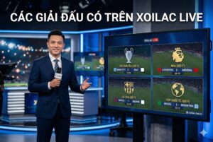 các giải đấu tại xoilac live